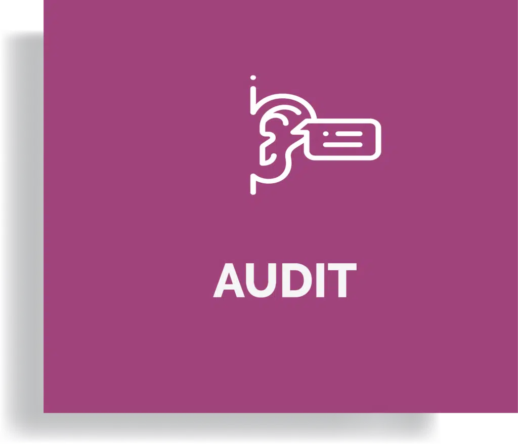 Audit